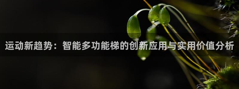 征途国际娱乐40996：运动新趋势：智能多功能梯的创