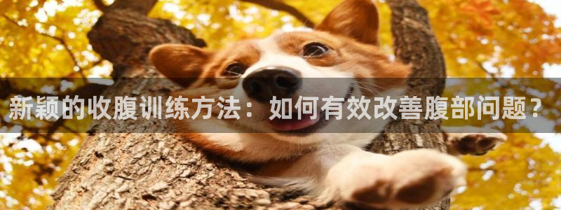 征途国际平台是正规平台吗：新颖的收腹训练方法：如何有