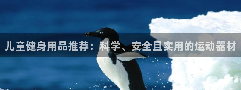 征途国际集团logo：儿童健身用品推荐：科学、安全且
