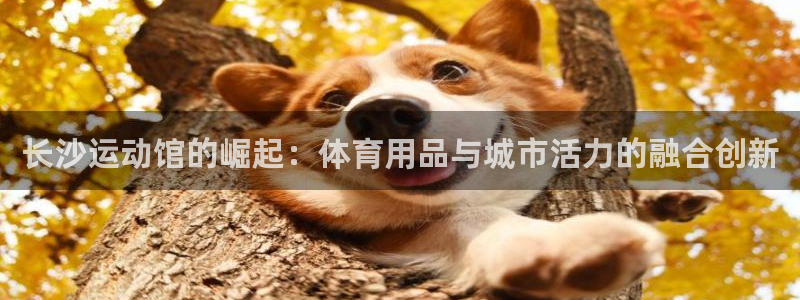 征途国际平台是正规平台吗知乎：长沙运动馆的崛起：体育