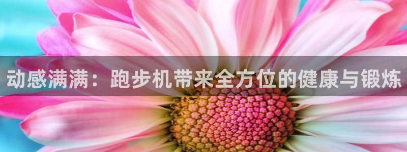 征途国际平台注册要钱吗是真的吗：动感满满：跑步机带来
