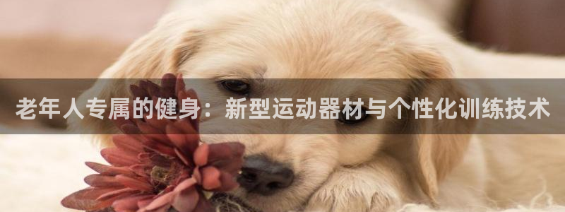 征途国际集团官网首页：老年人专属的健身：新型运动器材