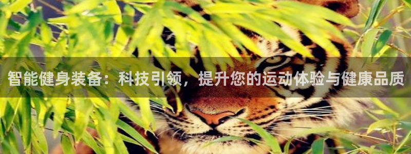 德国征途国际集团：智能健身装备：科技引领，提升您的运动体验与