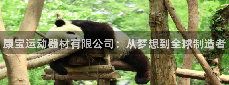 征途国际集团E.ON：康宝运动器材有限公司：从梦想到全球制造