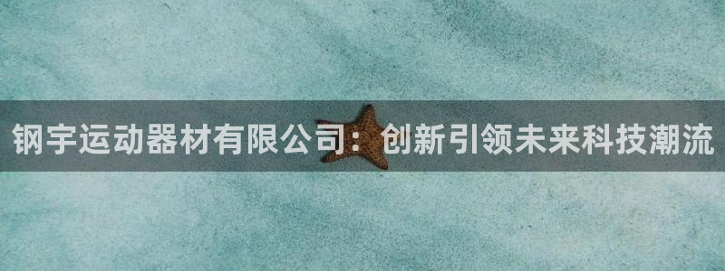 征途国际平台：钢宇运动器材有限公司：创新引领未来科技潮流