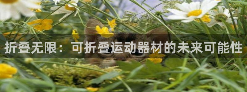 征途国际神州：折叠无限：可折叠运动器材的未来可能性
