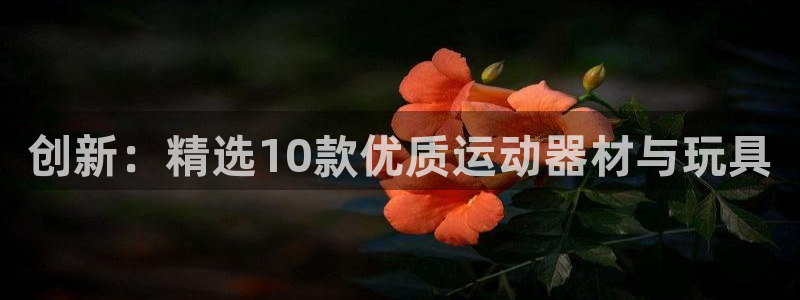 征途国际招商电话是多少号码：创新：精选10款优质运动器材与玩