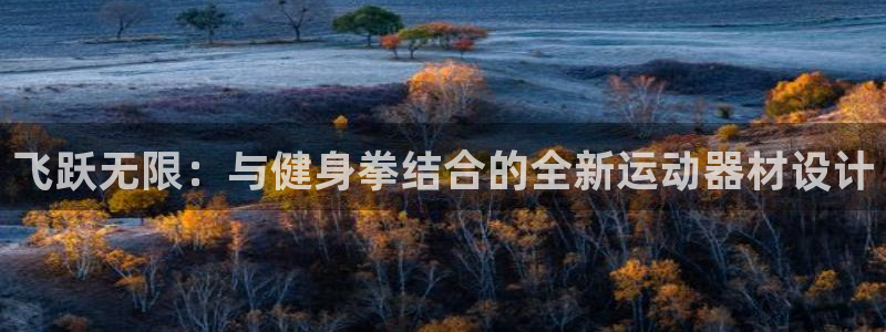 征途国际开户：飞跃无限：与健身拳结合的全新运动器材设计