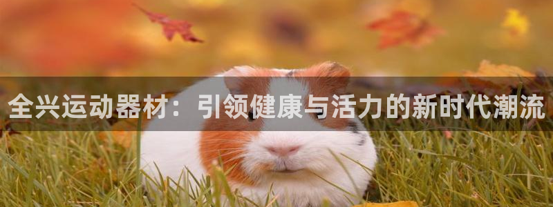 征途国际娱乐：全兴运动器材：引领健康与活力的新时代潮流
