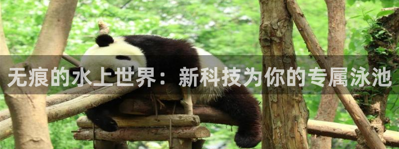 征途国际注册：无痕的水上世界：新科技为你的专属泳池